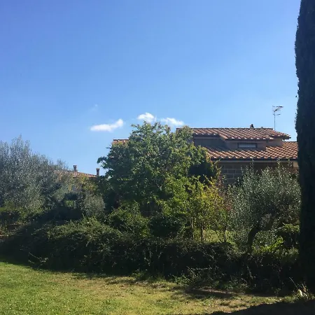 Il Boschetto Dei Corbezzoli Vetralla