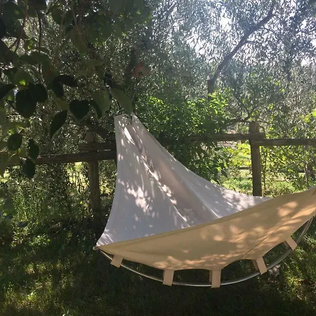 Il Boschetto Dei Corbezzoli Farm stay *